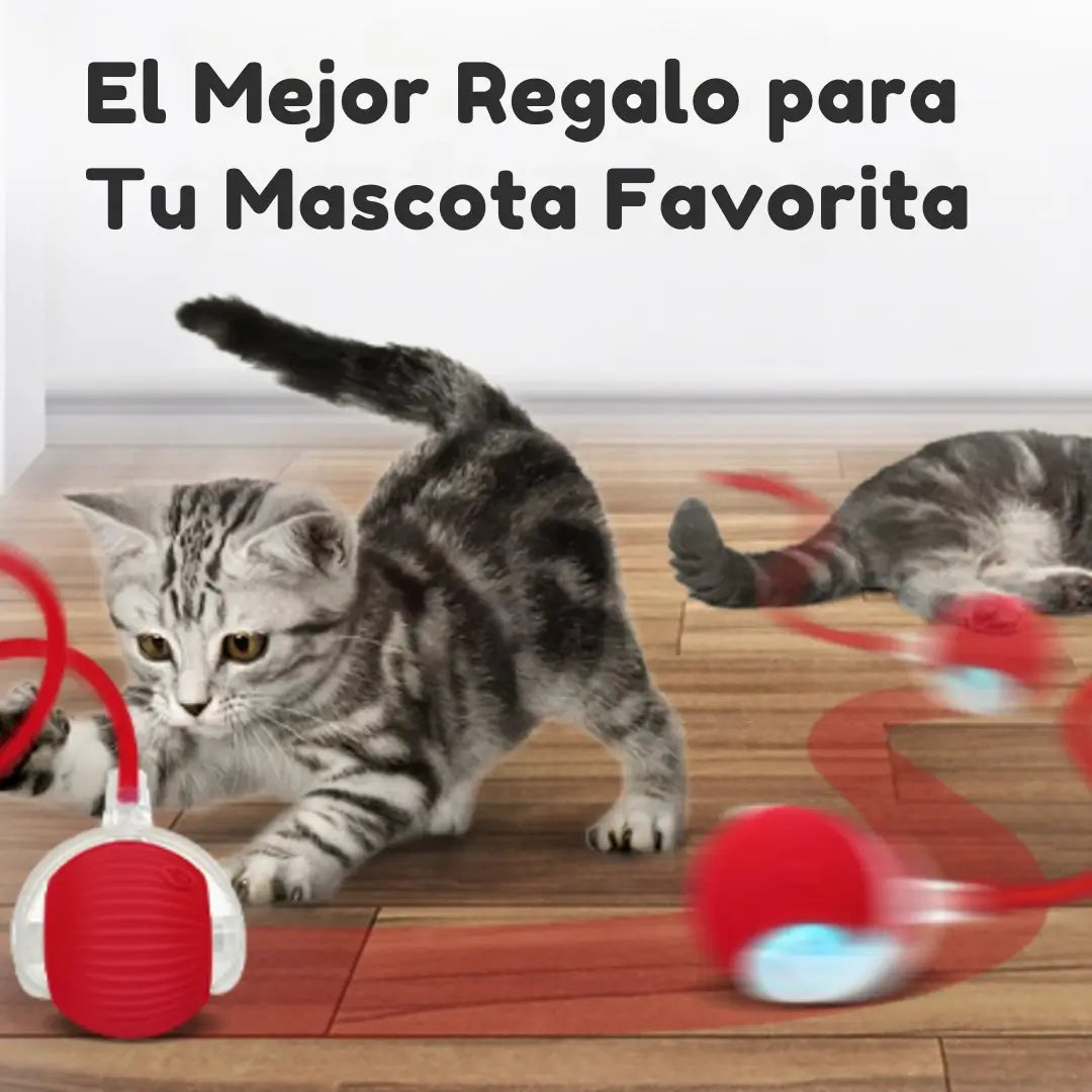 Juguete Inteligente para Mascotas Recargable - 👋Dile Adiós👋 al estrés y al aburrimiento de tu peludo