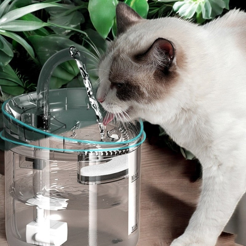CatWater - Fuente de Agua Dinamica Para Gatos