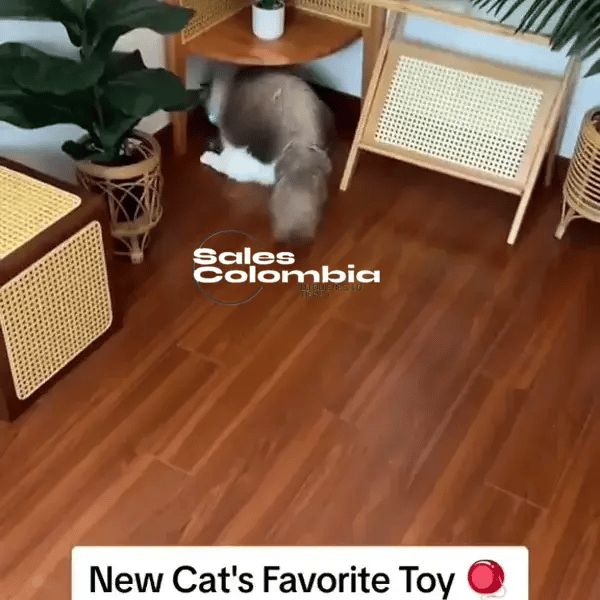 Juguete Inteligente para Mascotas