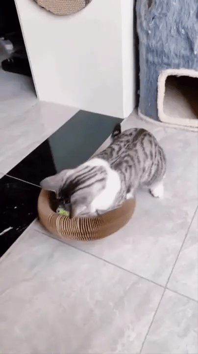 Juguete Mágico para Gatos