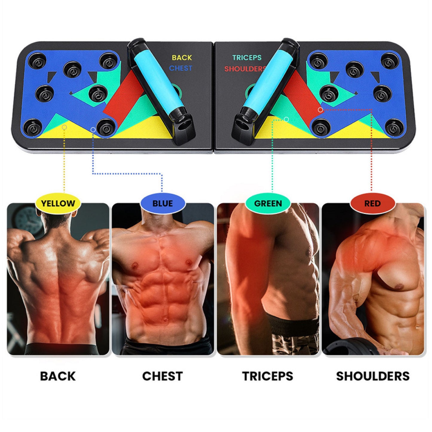 FitMaster - Tabla Push Up Para Flexiones Lagartijas 9 en 1