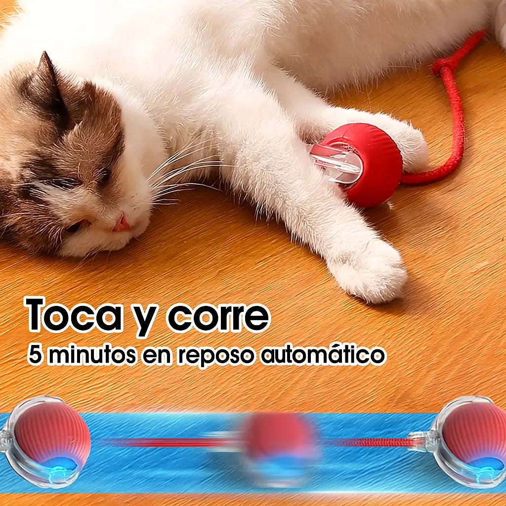Juguete Inteligente para Mascotas Recargable - 👋Dile Adiós👋 al estrés y al aburrimiento de tu peludo